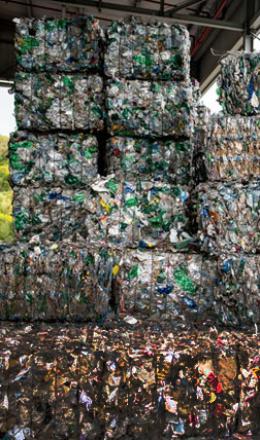 We are making ecology a solution