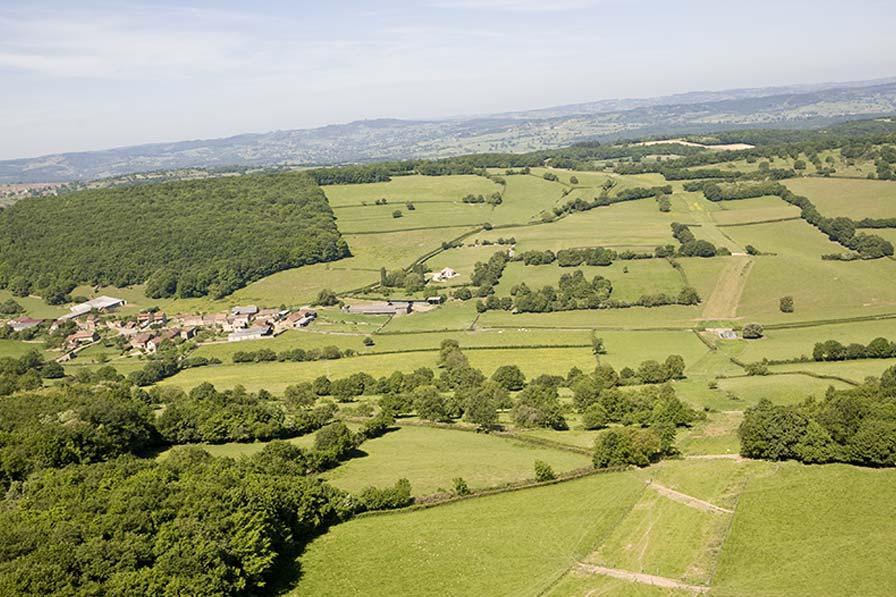 Easement strips - photo: Philippe Dureuil